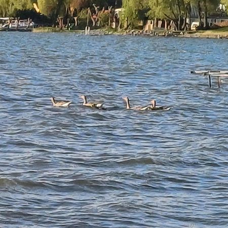 Gosciniec Twoje Mazury Nad Jeziorem Sniardwy Tuz Obok Plazy Nowe Guty Exterior foto