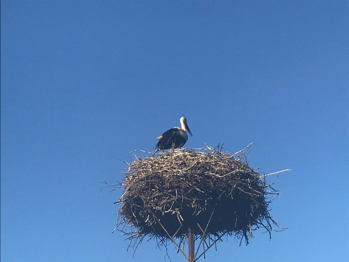 Gosciniec Twoje Mazury Nad Jeziorem Sniardwy Tuz Obok Plazy Nowe Guty Exterior foto